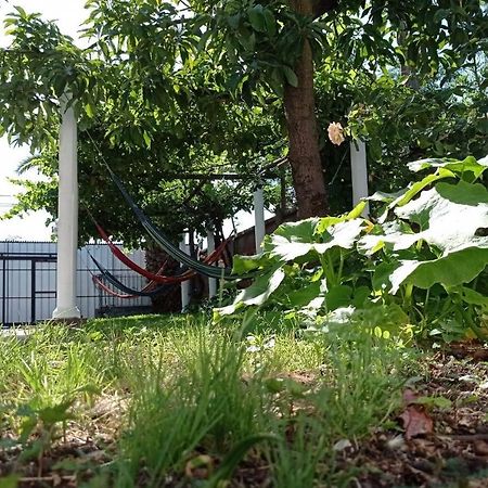 Hospedaje Curico Casa Grande Exterior photo